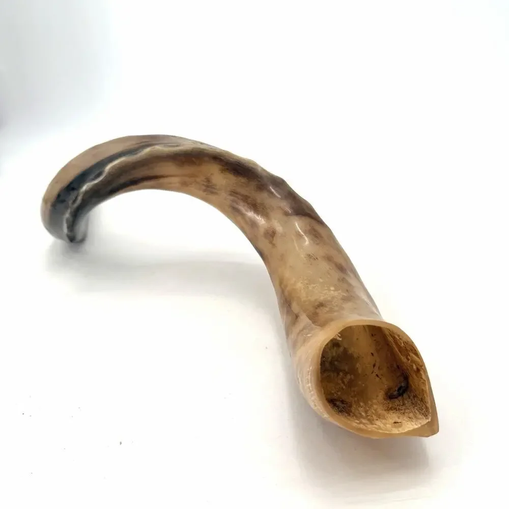Unbranded kosher kudu